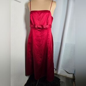 David's Bridal Strapless Ruby Dress